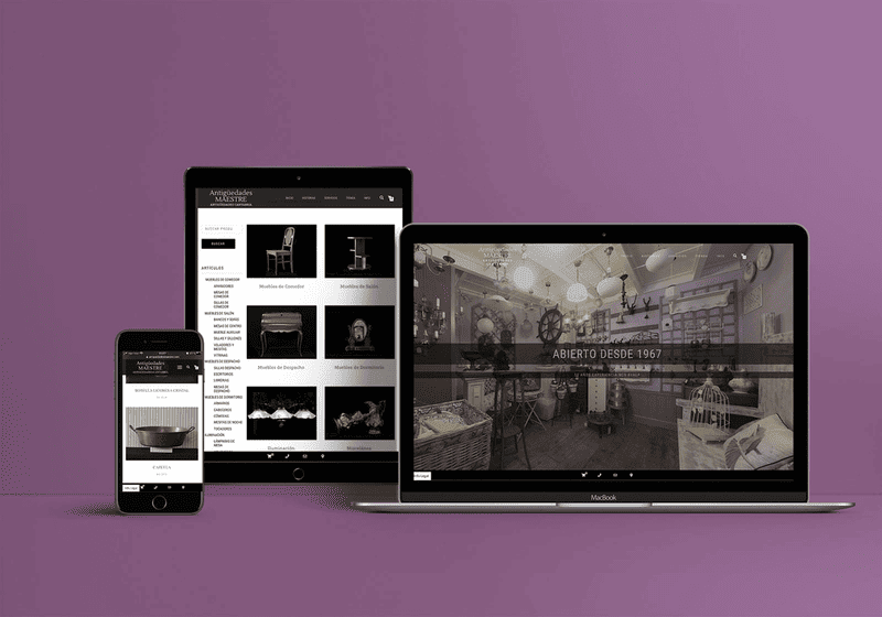 Proyecto Web 1